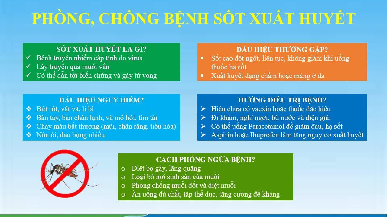 Phòng chống bệnh sốt xuất huyết